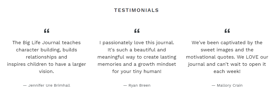 Big Life Journal